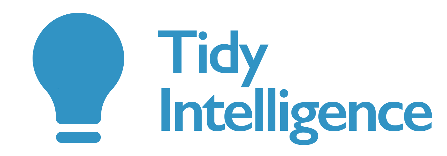 Tidy Intelligence Logo